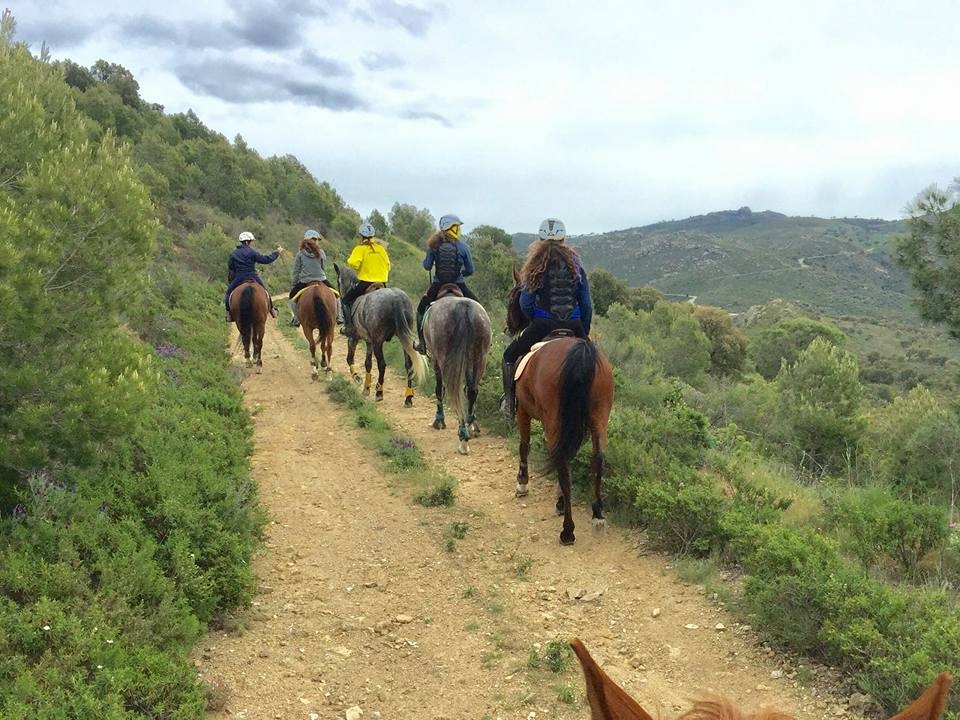  在艾瓜莫尔斯骑马 