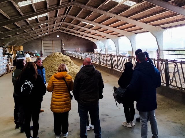 Visitando una ganadería