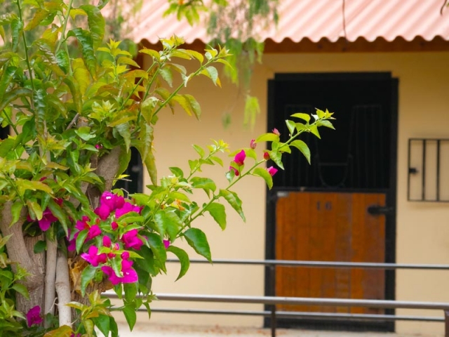  Horse riding in Tenerife 