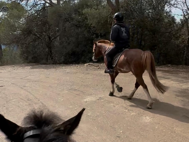 Ruta a caballo por Molins de Rei