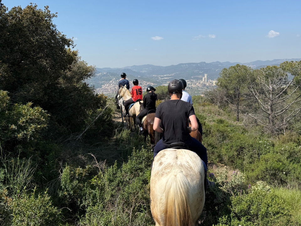 Excursión a caballo en Collserola