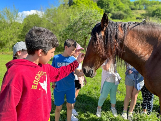  Getting to know the animals in the area 