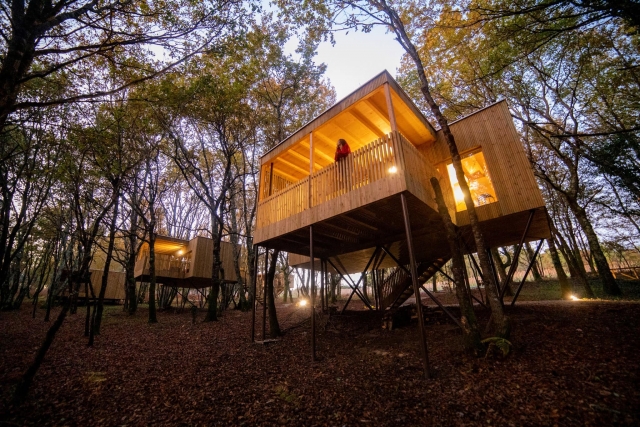  Der Wald und seine Hütten 