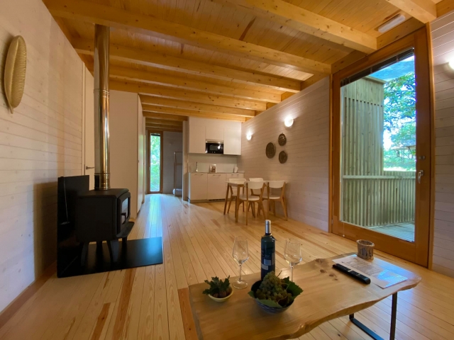  Wohnzimmer und Küche 