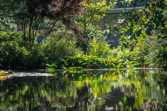  Cabana Bela Umgebung 