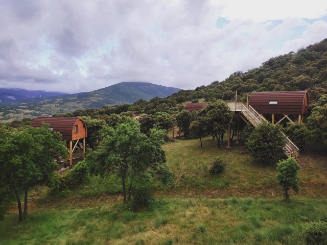Inmersas entre árboles y naturaleza