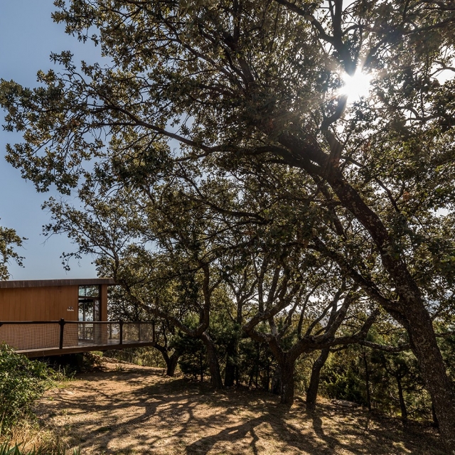 Paz y naturaleza al amanecer