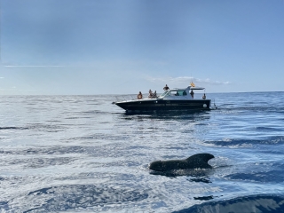 Excursiones Marítimas Atlántico Norte
