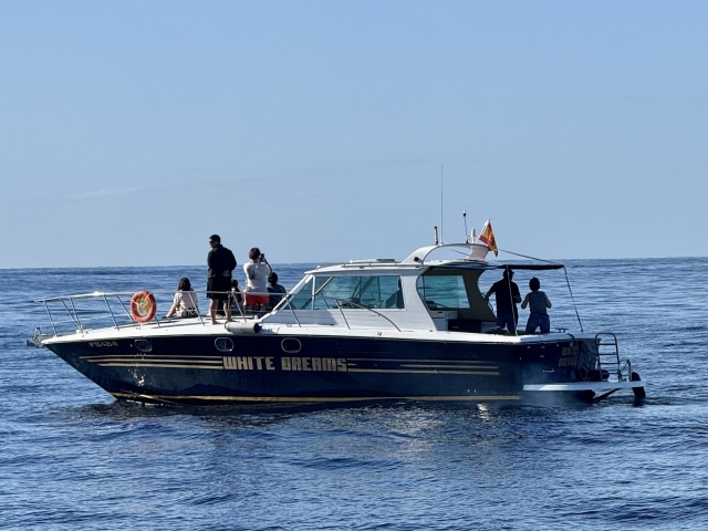  Segeln Sie durch den Atlantik 