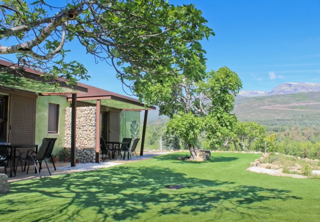  Jardin des appartements 