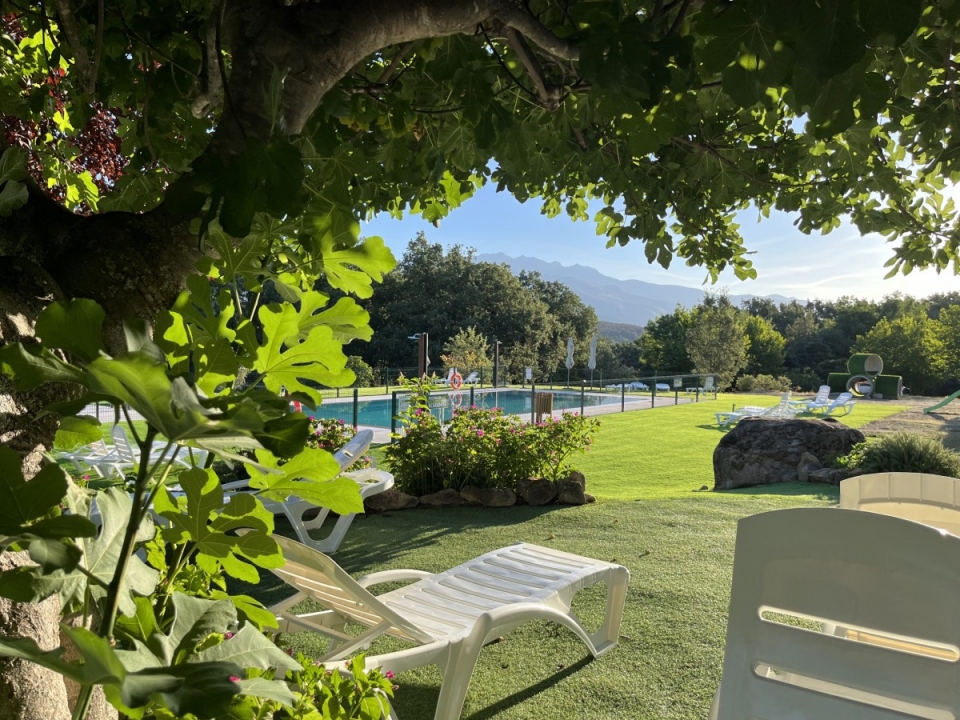  Piscine entre les arbres 