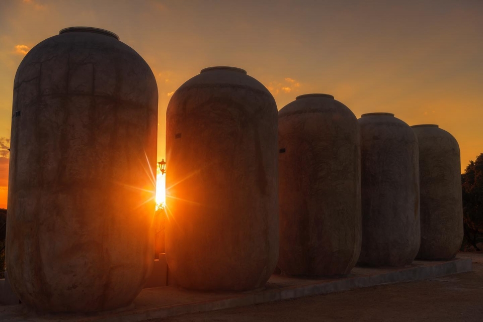  Coucher de soleil entre les bocaux 