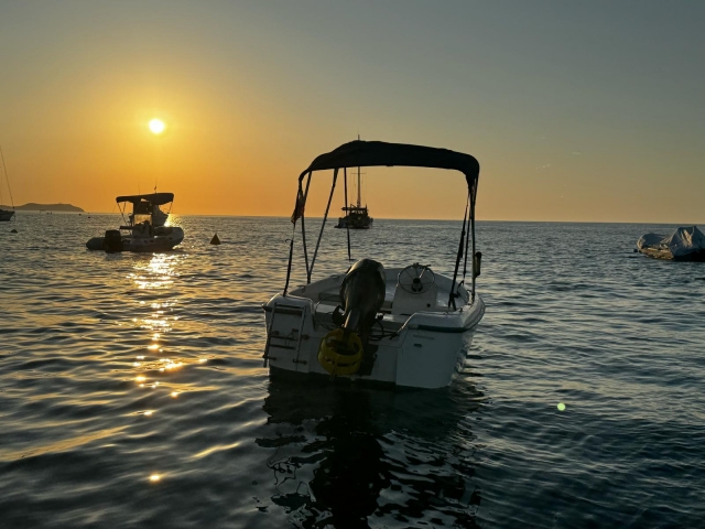 e-19867460-alquilar-barco-sin-patron-por-ibiza177435582917743562364696.jpeg