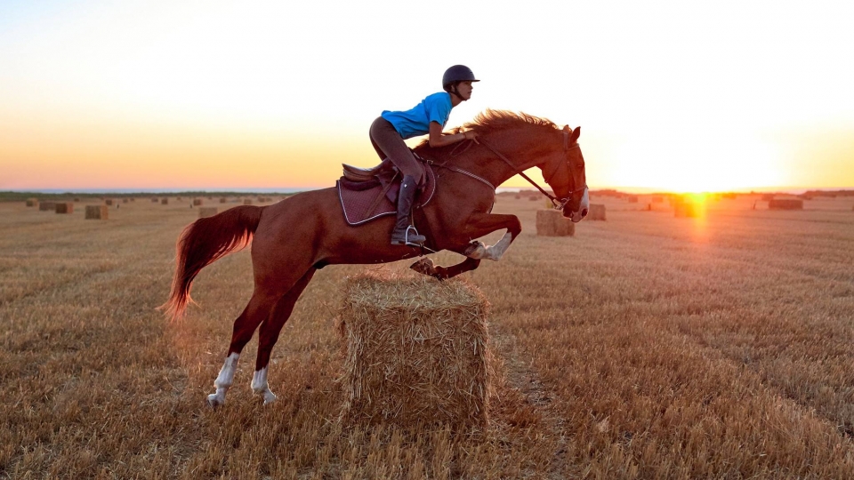 Saltando a caballo