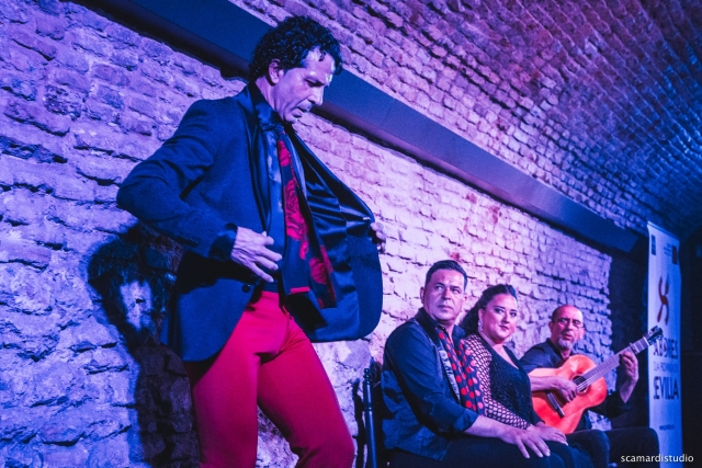  Spectacle de Flamenco 