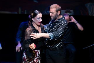 Teatro Flamenco Triana