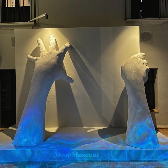  Museu Moco Barcelona 