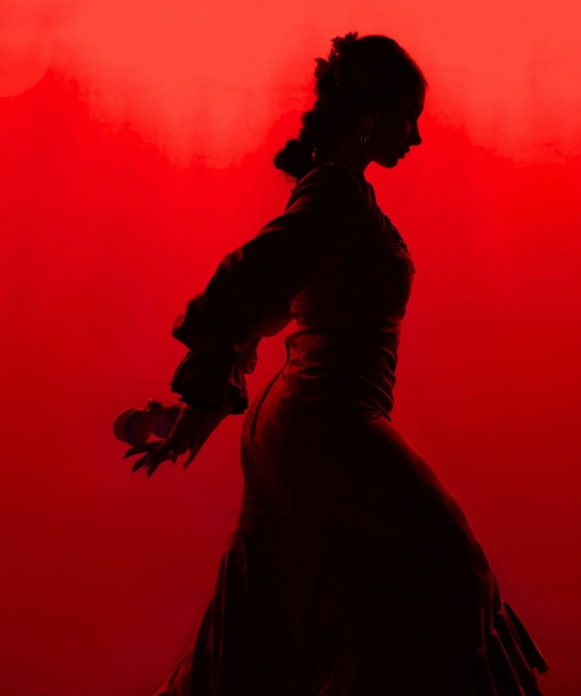  Barcelona and flamenco 