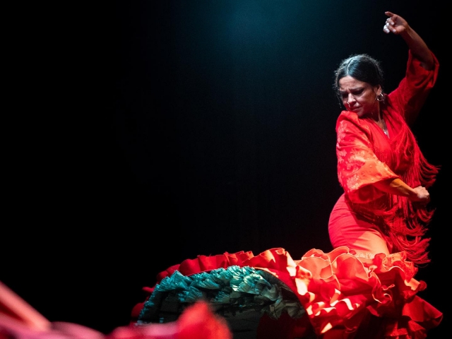  Flamenco show in Barcelona 