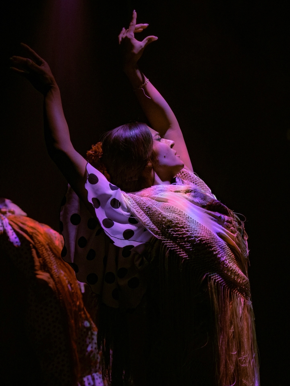  Flamenco show on La Rambla 