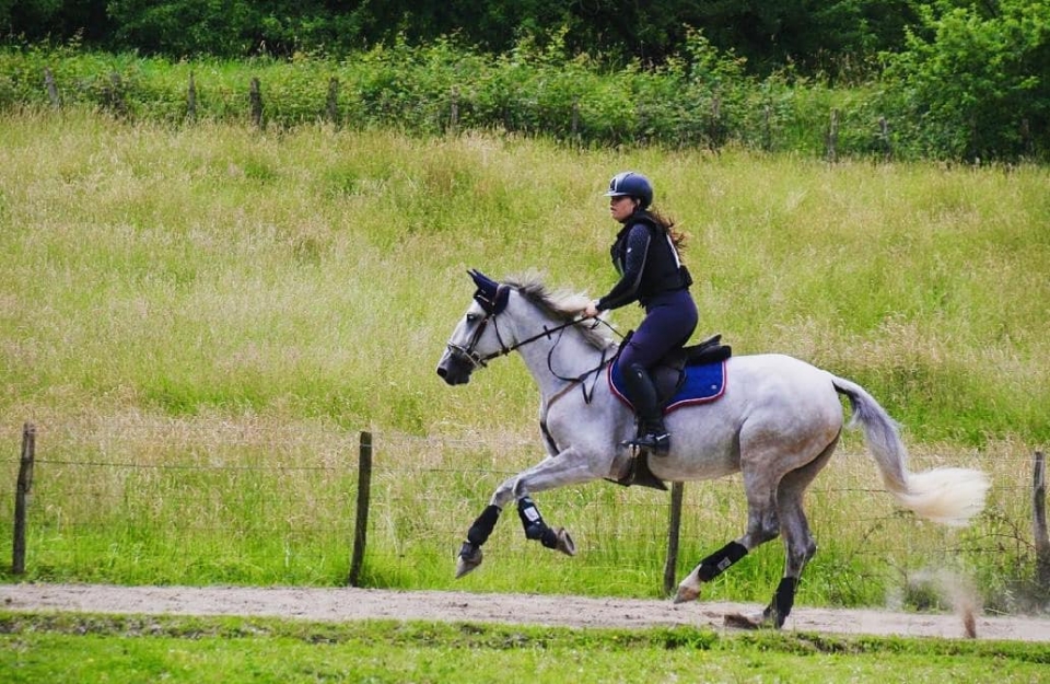  Equitation à Iurreta 