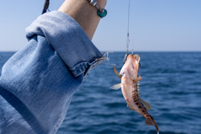  Pesca em palamos 