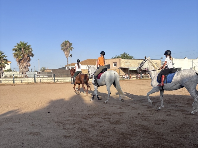 Clases de equitación en Sanlúcar