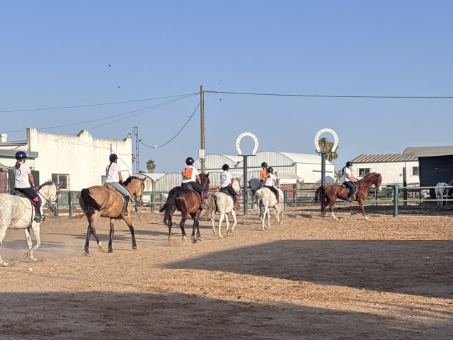Aprende a cabalgar en el sur de Cadiz