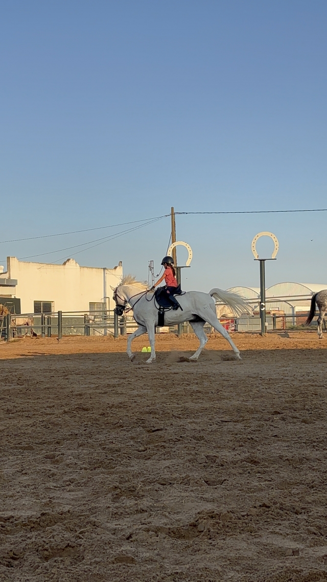 Aprende a subir a caballo en Sanlúcar de Barrameda