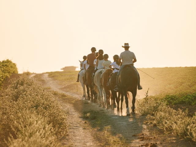 Experiencia ecuestre por Cádiz