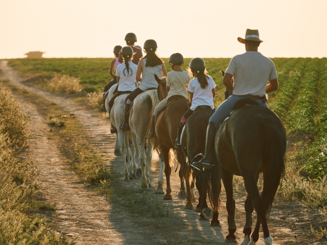 Pasea por los viñedos de Cádiz a caballo 