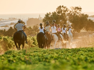 Escuela de Equitación Amigos del Caballo - El Cojo Rosa