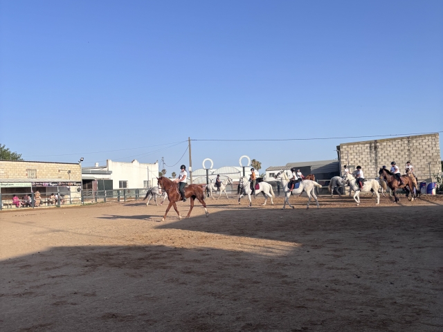 Clases de equitación en Cádiz