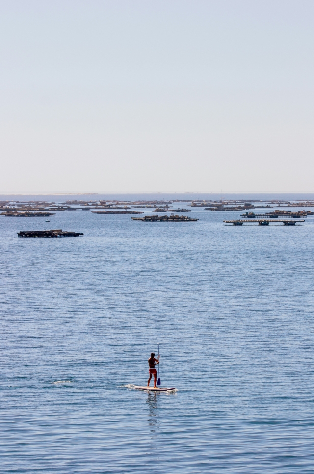  在 Garraf 海岸桨冲浪 