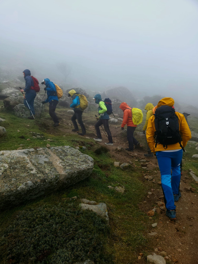  Une excursion avec du brouillard 
