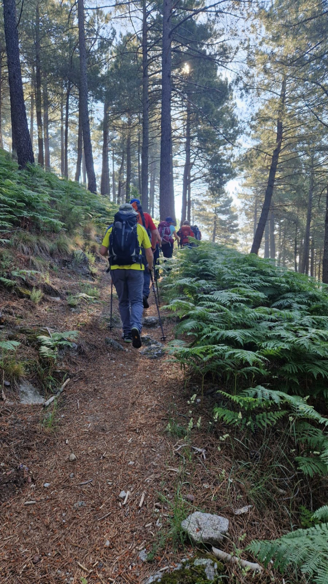  Sentiers à travers les forêts de Guadarrama 