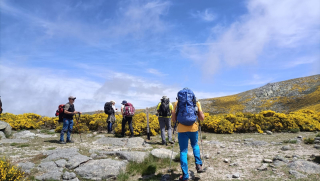 Sequoia Mountain Guides