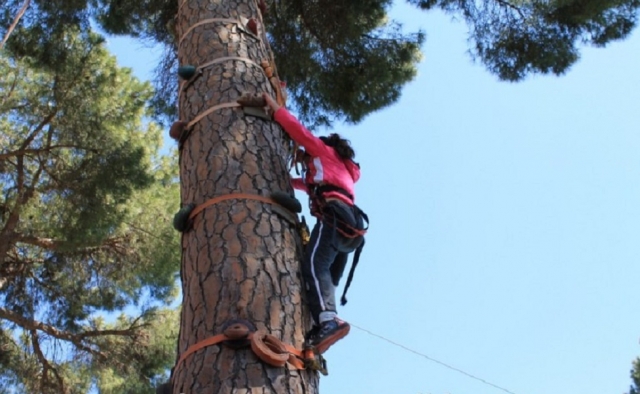  climbing the centenary tree 
