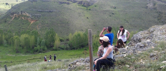  Observation des oiseaux dans la ceinture verte de Ségovie 