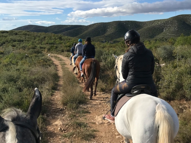  Sentieri da esplorare a cavallo