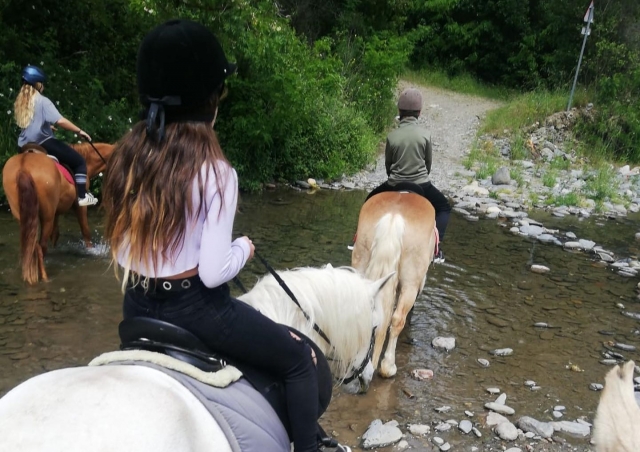 Supera el rio Tordera a lomos de un caballo