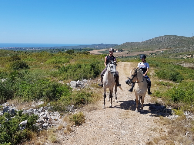  Passeggiata a cavallo a Vilanova 