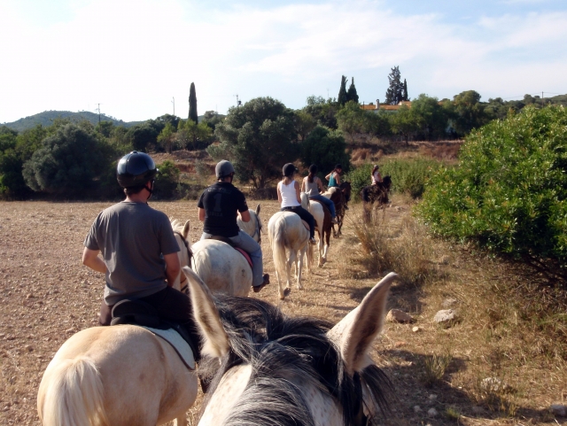  Visita la regione a cavallo