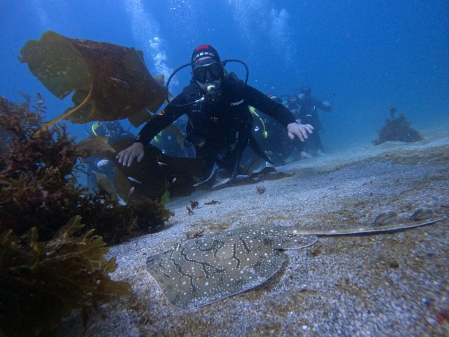 Una experiencia de buceo impresionante