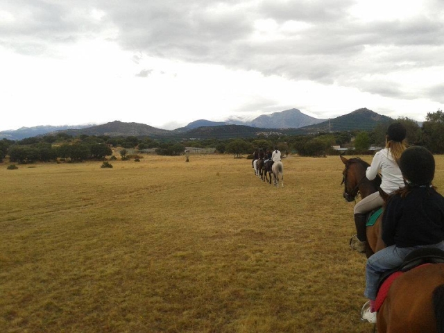  Passeggiate a cavallo in pianura 