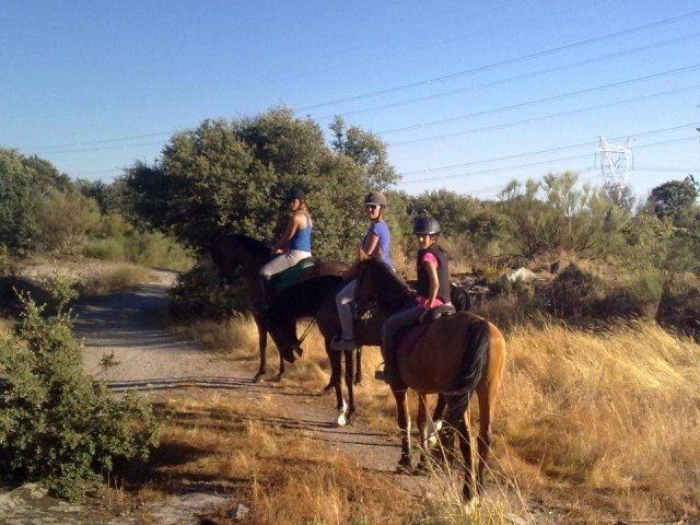  Passeggiate a cavallo su strada 