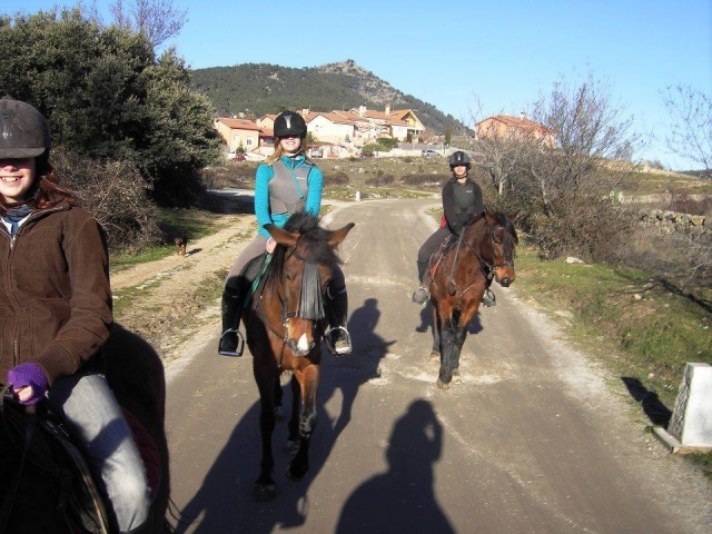  Passeggiate a cavallo