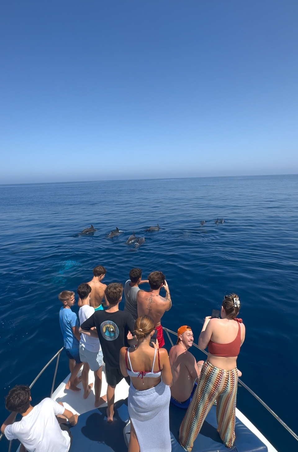  Walbeobachtung im Mittelmeer 