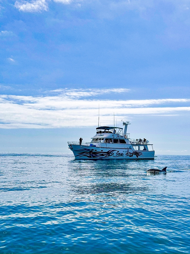 Paseo en barco por la costa del sol