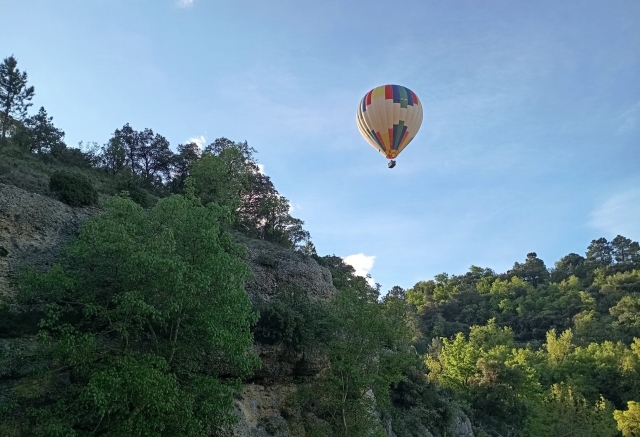  Flying over the forest 